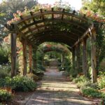pergola ideas