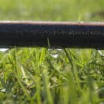Unlock the Secrets of Soaker Hoses in 2024.