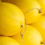 Harvest Spaghetti Squash Like a Pro in 2024. Secrets Revealed!
