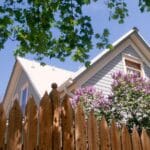 2024 Tree Liability Secrets Neighbors Must Know. Take Action.