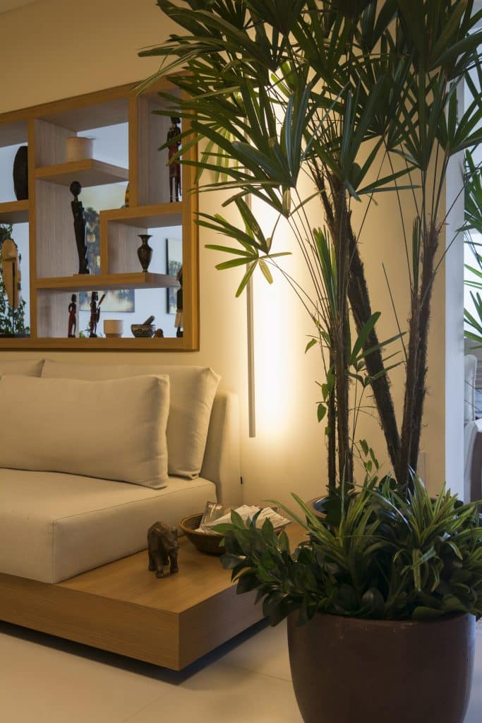 Transform Your Practice with Powerful Yoga Techniques and Insights. 1 Project using plants designed by architect André Viana and photographed by Emerson Rodrigues