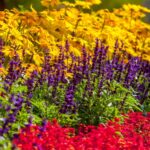 Drought-Proof Your 2024 Landscape Secrets. Drought-Proof Your 2024 Landscape Secrets.