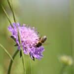 Grow Thriving Plants in 2024 with 6 Unexpected Secrets.