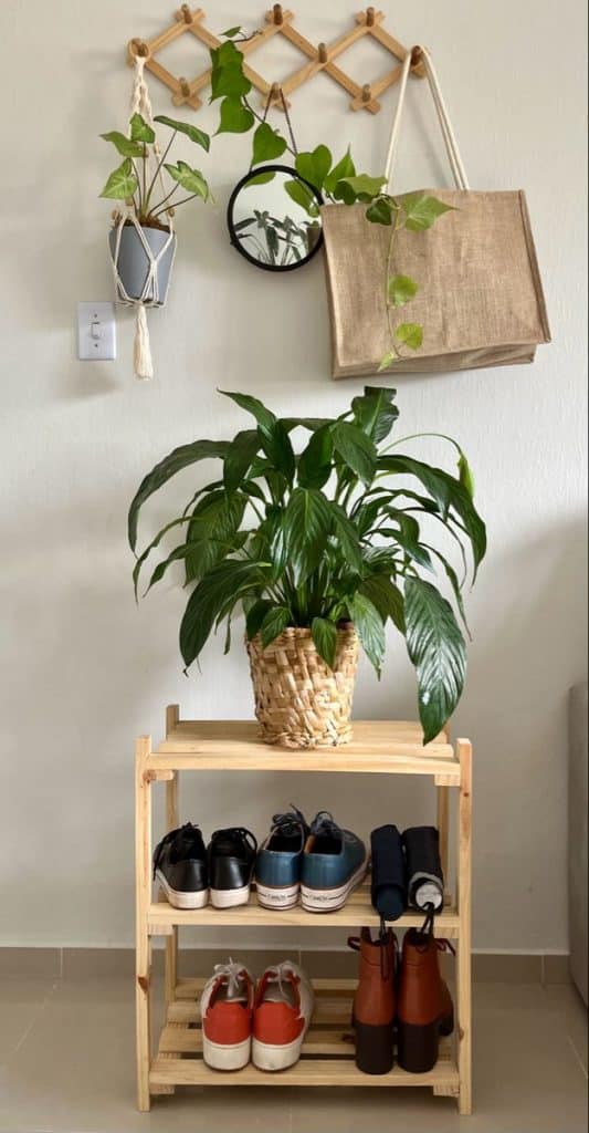 Hook rack for bags
