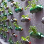 How to Grow Lettuce: 3 Benefits of Growing at Home