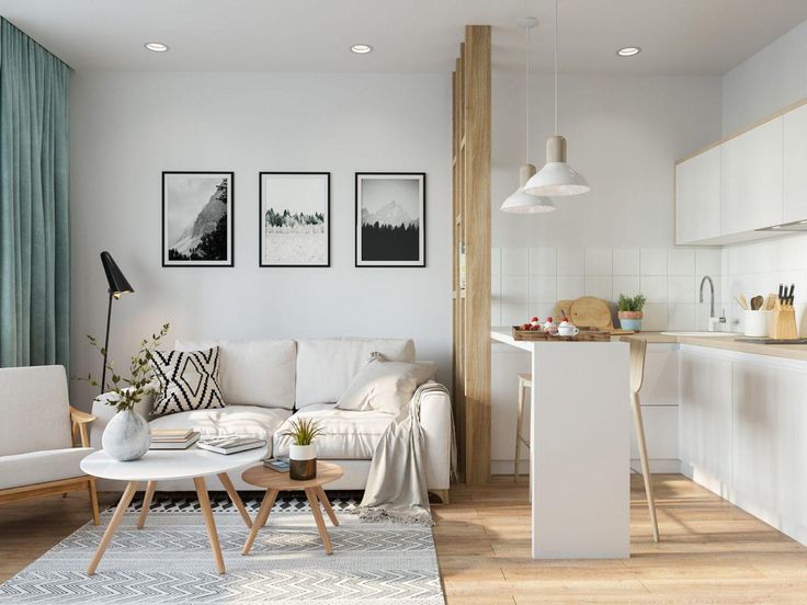 Living room and kitchen with natural light