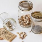5 Creative Seed Storage Hacks for 2024.