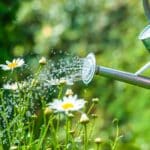 Gardening Myths Debunked in 2024. Unexpected Revelations. Grow Better. Gardening Myths Debunked in 2024. Unexpected Revelations. Grow Better.
