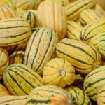 Grow Delicata Squash Like a Pro in 2024. Unexpected Revelations & Expert Tips.
