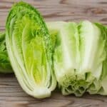 Grow Romaine Lettuce for Endless Harvests in 2024. Grow Romaine Lettuce for Endless Harvests in 2024.