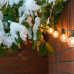 Solar Lights Revival in 2024. Experts' Surprising Tips.