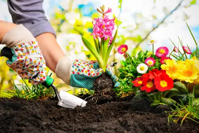Self-protection equipment needs to be used to minimize risks during gardening work
