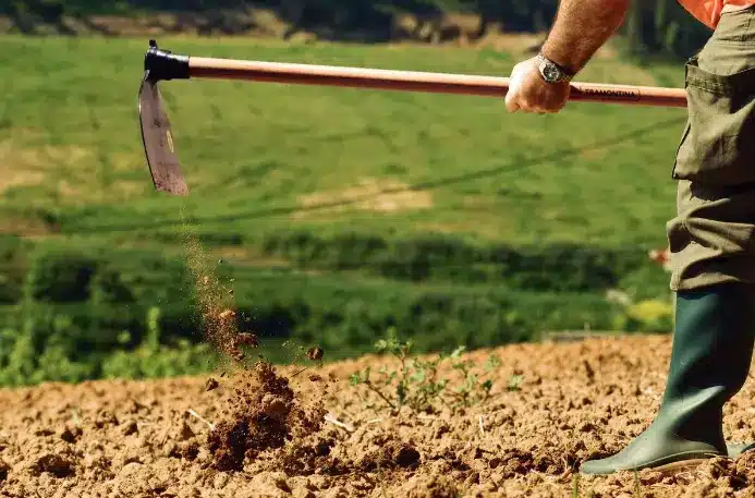 The hoe helps prepare the soil for planting, removes weeds and helps keep the garden clean and healthy