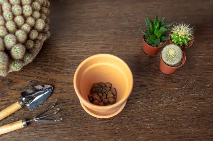 Expanded clay facilitates soil drainage and aeration, improving moisture retention and plant growth – Photo: Shutterstock