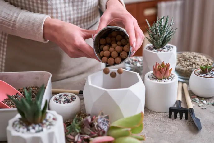 Rinse expanded clay under running water before use – Photo: Shutterstock