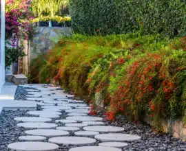 Stones for garden: types, advantages, and + 10 inspiring ideas