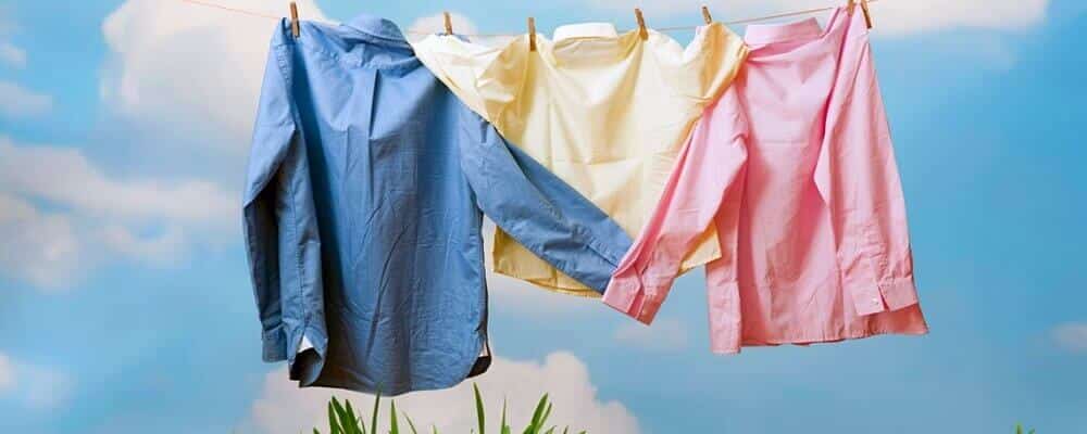 Want to know more about what removes mold from clothes? The sun!