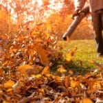 Surprising Leaf Blower Etiquette Secrets Revealed. 2024 Guide.