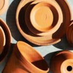 12 Surprising Plants That Should Never Touch Terracotta in 2024.