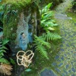 7 Magical Fairy Garden Trends to Transform Your 2024 Backyard.
