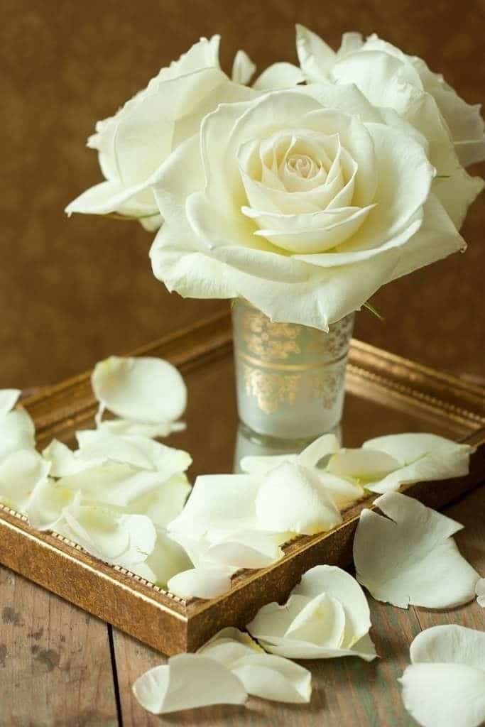 Decoration with white rose