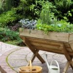 Grow Thriving Herbs Together: 16 Secrets for 2024 Success. Discover 16 Surprising Herb Pairings for Thriving Gardens 2024.