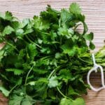 Prune Cilantro Secrets: 5 Tips for Thriving Herbs in 2024.