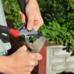 Sharpen Your Pruning Shears: 5 Secrets for Cleaner Cuts Today.