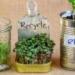 Transform Your Garden: 7 Secrets for Zero Waste in 2024.