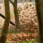 Leaf Blowers' Surprising 2024 Environmental Cost: 5 Unexpected Revelations.