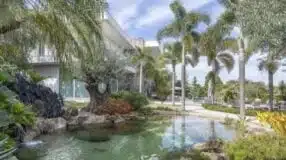 Piscina natural cercada de vegetação.