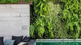 Ana Toscano Arquitetura