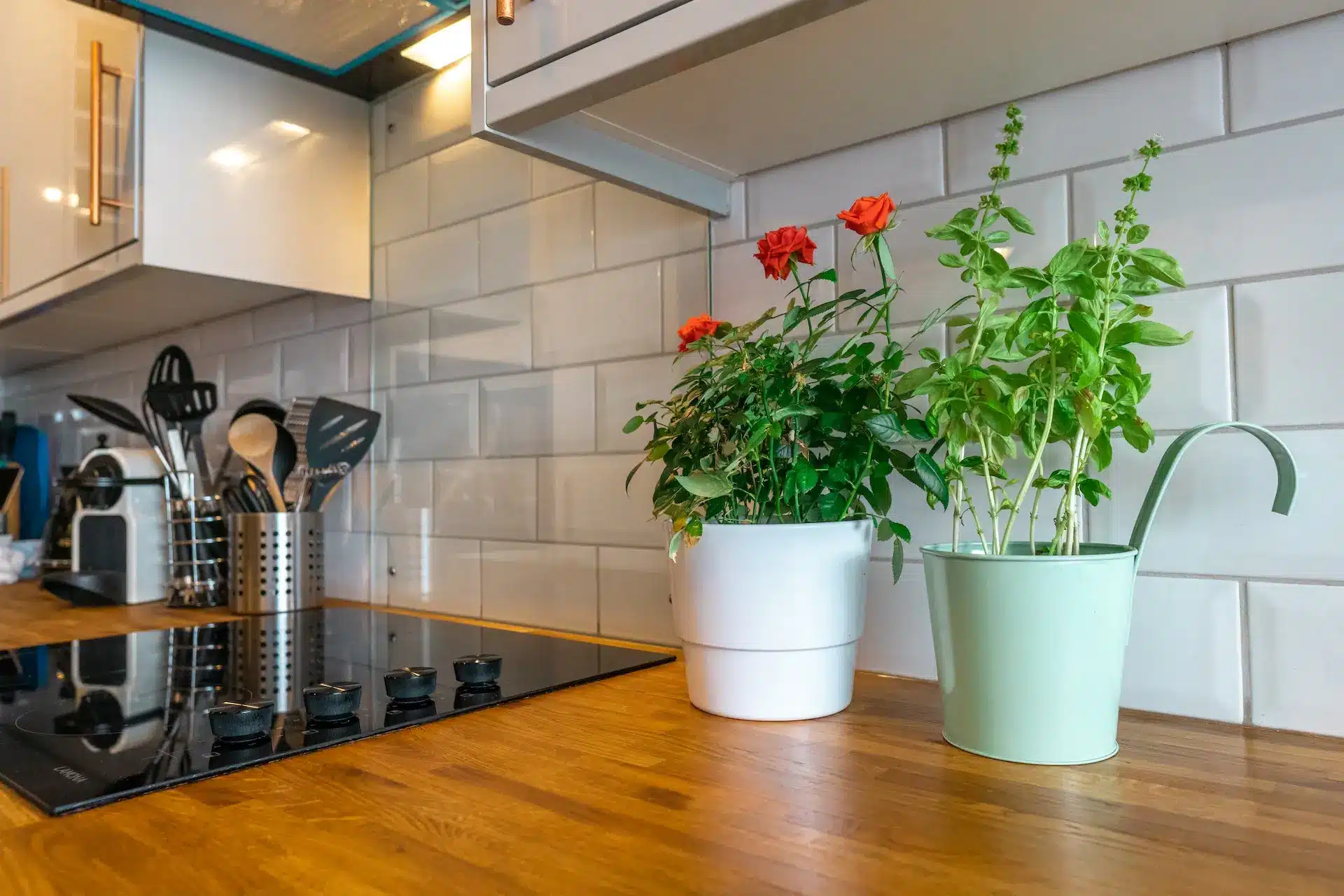 Feng Shui Kitchen: Applying Ancient Principles for Modern Design 3 Imagem que exemplifica a aplicação do conceito de Feng Shui na cozinha.