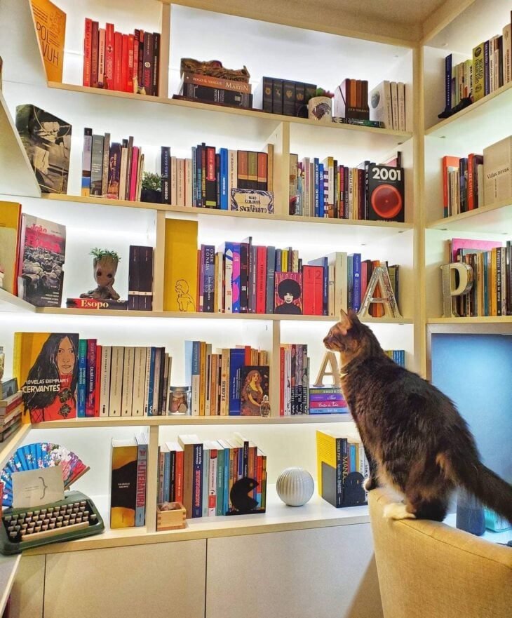 Imagem de leitura no estilo contemporâneo