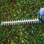 how-to-sharpen-hedge-trimmer-blades-safely