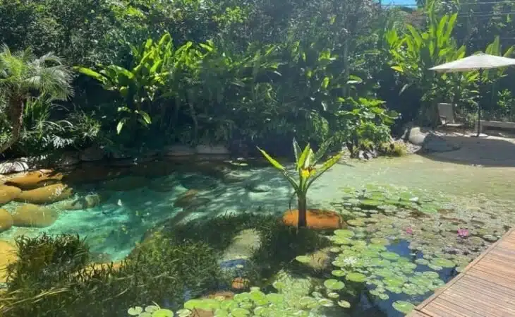Foto de piscina natural