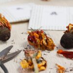 seeds-to-collect-in-october-flowers-vegetables