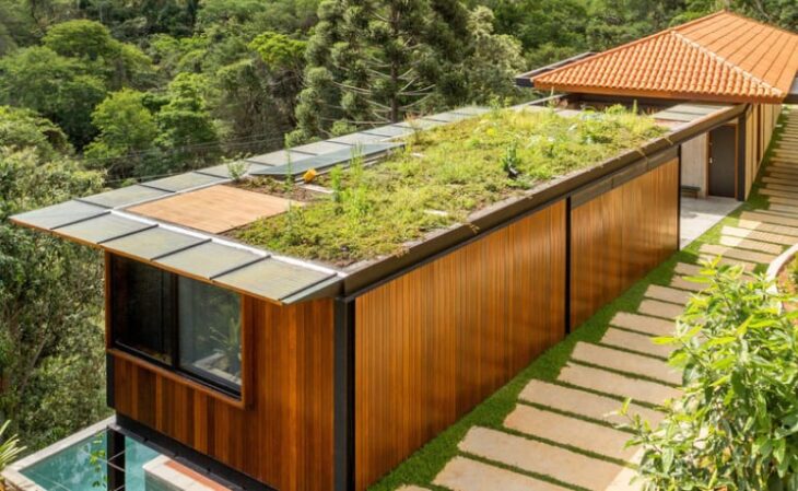Imagem de telhado verde com vegetação.
