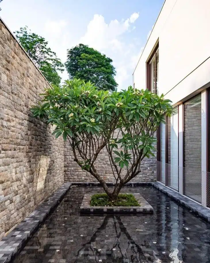 Foto de espelho d'água 7 - 5