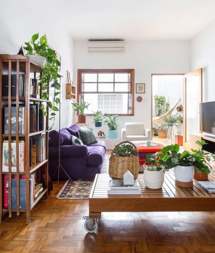 GOAA Arquitetura | Compre similar no Shoptime
