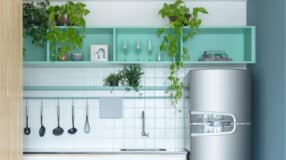 7 Essential Tips for Growing and Caring for Carpet Plants at Home 7 Imagem de plantas pendentes em um espaço verde