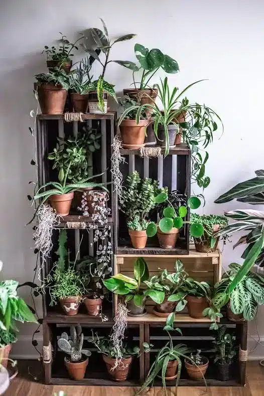 How to Create Beautiful Garden Beds: A Complete Guide 3 Canteiro de jardim é um espacinho simples ou requintado cheio de plantas que vai trazer aquela paz a tranquilidade a sua casa ou apartamento.