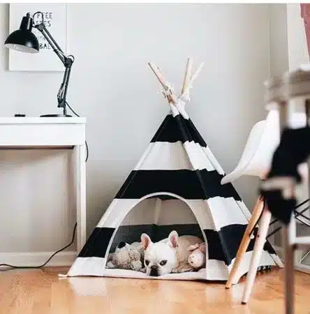 Casa: Pinterest