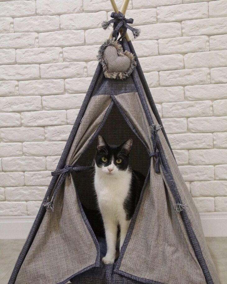 Imagem de uma casinha para gato em um lugar alto, ideal para gatos que gostam de observar o ambiente.