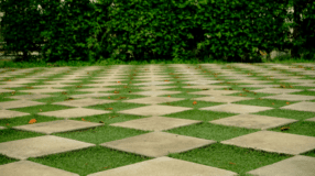 70 ideias de jardim vertical de pallet para decorar gastando pouco