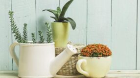 Wall Planters: How to Make and 50 Charming Options for Your Home 5 Floreiras em destaque com vários tipos de flores.