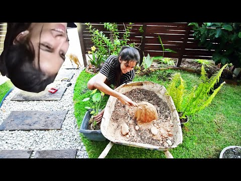 How to Create Beautiful Garden Beds: A Complete Guide 5 Canteiro de jardim vertical é uma escolha ideal para quem mora em locais compactos.