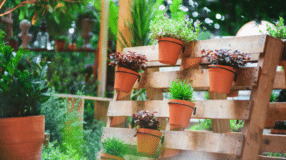 A prateleira rústica pode ser robusta e chamativa, ideal para decorar e organizar espaços.