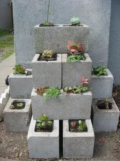 How to Create Beautiful Garden Beds: A Complete Guide 2 Os caixotes de madeira são a escolha de quem preza por um estilo mais natural e orgânico de canteiros de jardim.