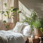 Plantas para Quartos: 12 Opções para Decorar seu Cantinho